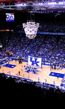 C-A-T-S! Cats, Cats, Cats!