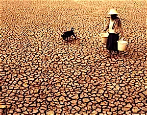 Drought and famine will be the practical reality of unchecked climate change. 