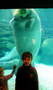 Jacy about to be consumed by a manatee.